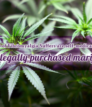 10 percent of Fibromyalgia Suffers are self-medicating with illegally purchased marijuana