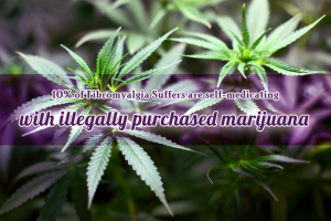 10 percent of Fibromyalgia Suffers are self-medicating with illegally purchased marijuana