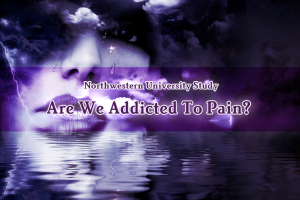 Are We Addicted To Pain Northwestern University Study