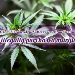 10% of Fibromyalgia Suffers are self-medicating with illegally purchased marijuana
