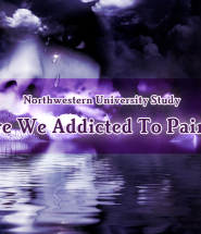 Are We Addicted To Pain Northwestern University Study